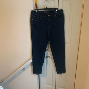 Lane Bryant Skinny Jeans size 14 short